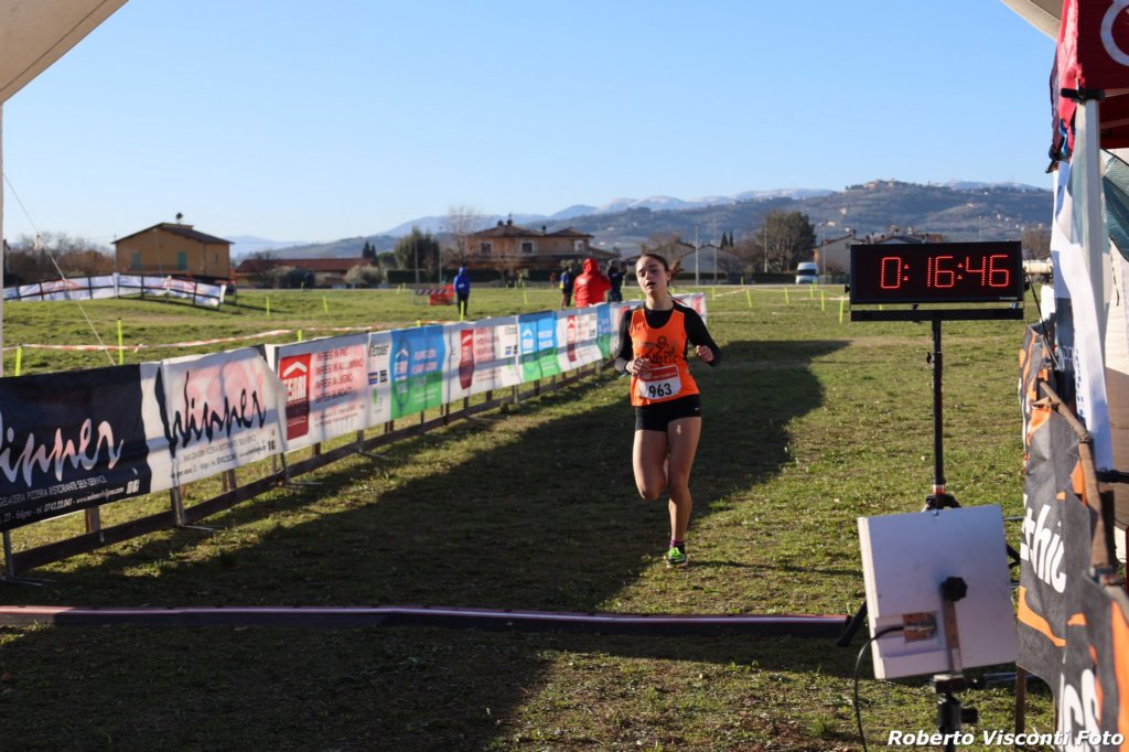 cross24_10.jpg