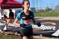 cross24_101_small.jpg