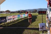 cross24_10_small.jpg