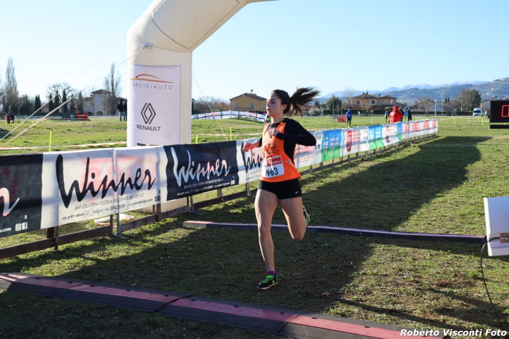 cross24_11.jpg