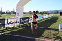 cross24_11_small.jpg
