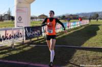 cross24_13_small.jpg