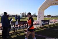 cross24_14_small.jpg