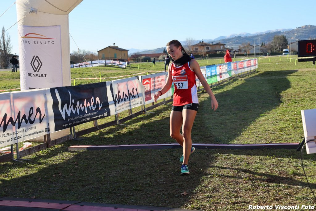 cross24_15.jpg