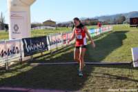 cross24_15_small.jpg