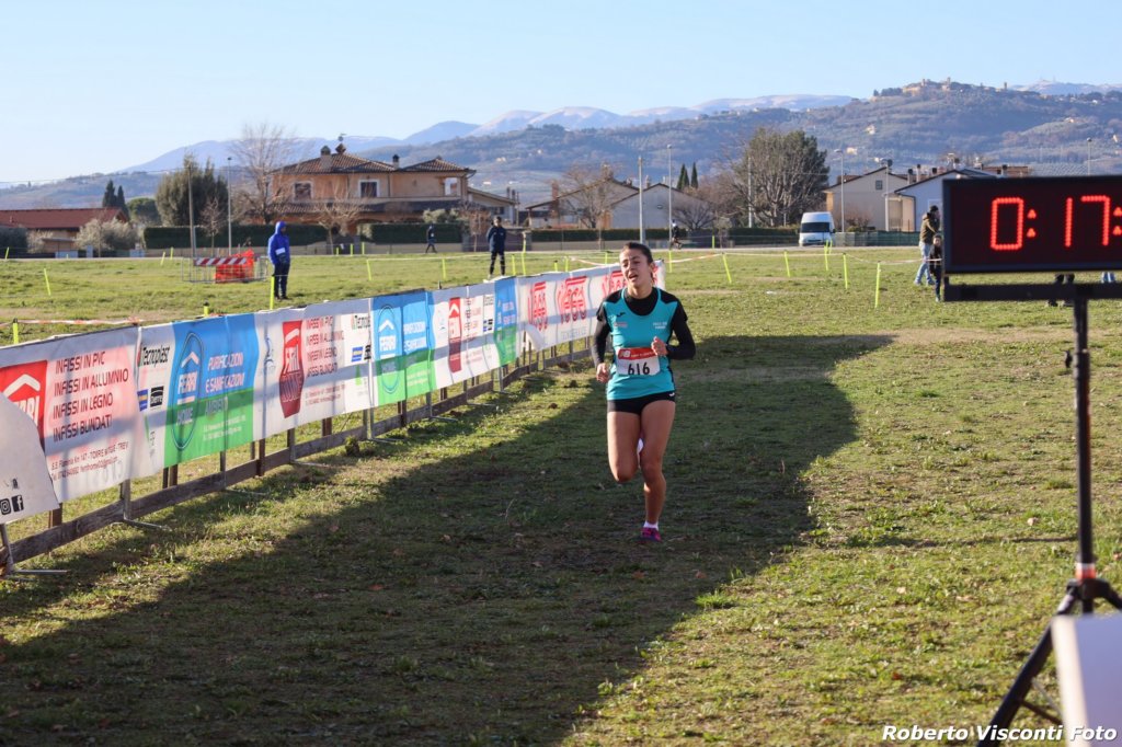 cross24_17.jpg