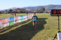 cross24_17_small.jpg