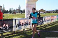 cross24_18_small.jpg