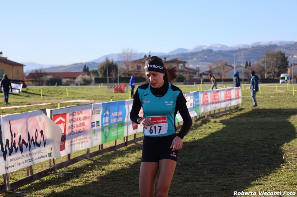 cross24_19.jpg