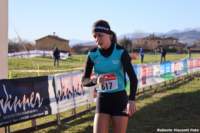 cross24_20_small.jpg