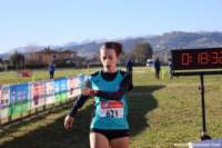 cross24_21_small.jpg