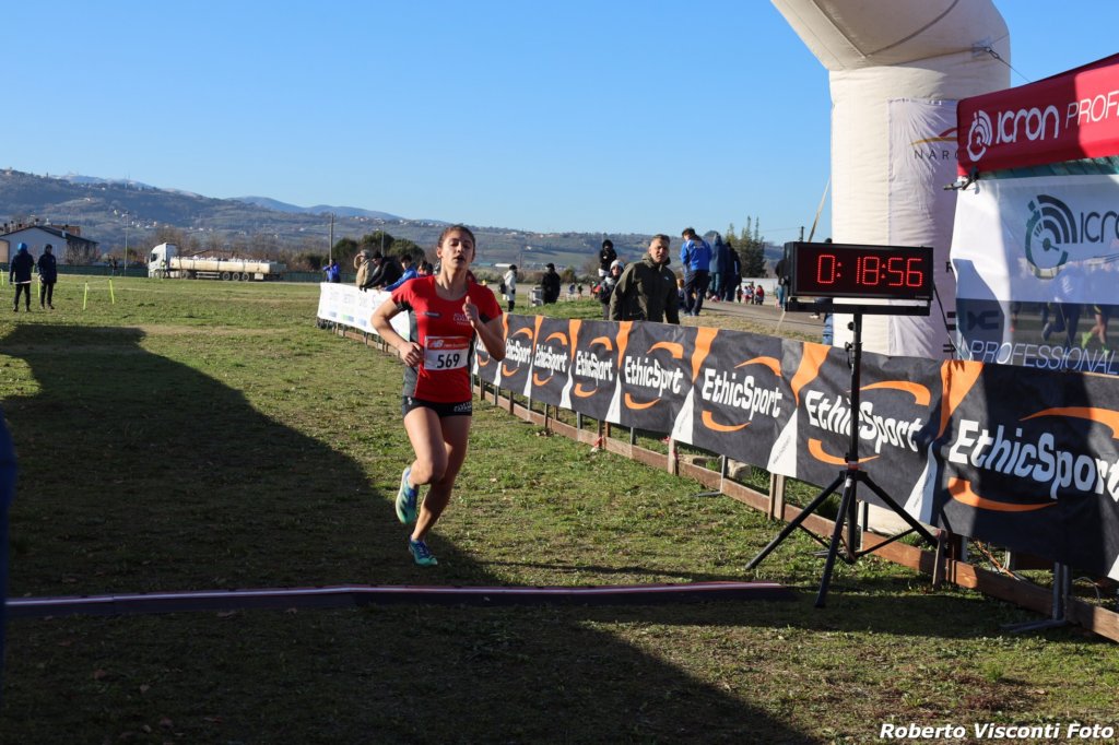 cross24_22.jpg