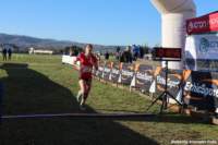 cross24_22_small.jpg