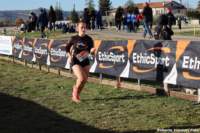 cross24_25_small.jpg