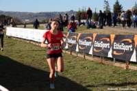 cross24_27_small.jpg