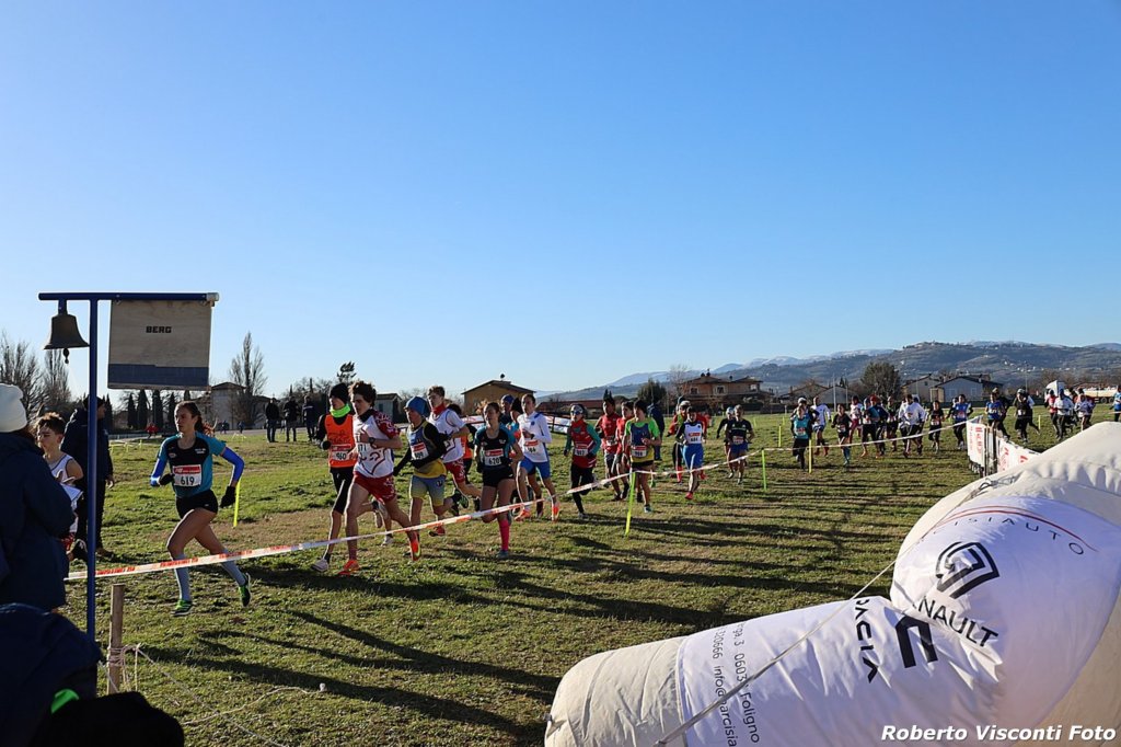 cross24_31.jpg