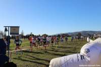 cross24_31_small.jpg