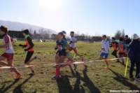 cross24_32_small.jpg