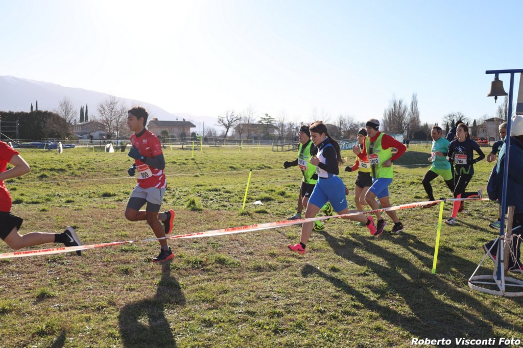 cross24_33.jpg