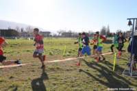 cross24_33_small.jpg