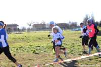 cross24_35_small.jpg