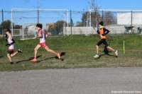 cross24_36_small.jpg