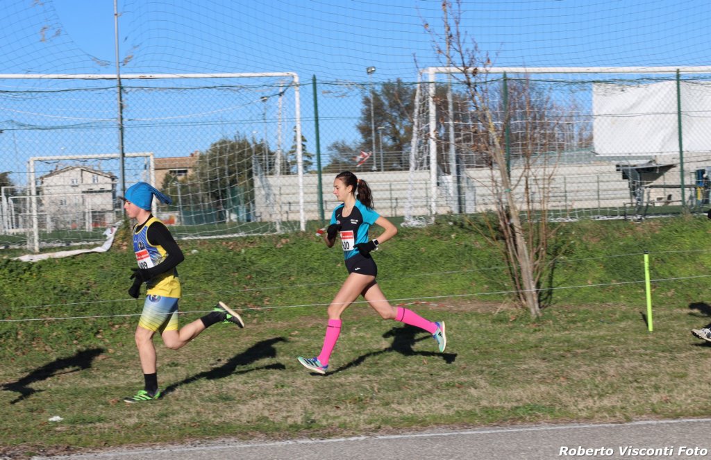 cross24_37.jpg