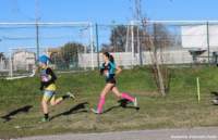 cross24_37_small.jpg