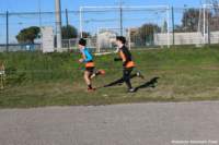 cross24_39_small.jpg