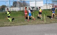 cross24_40_small.jpg