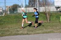 cross24_41_small.jpg