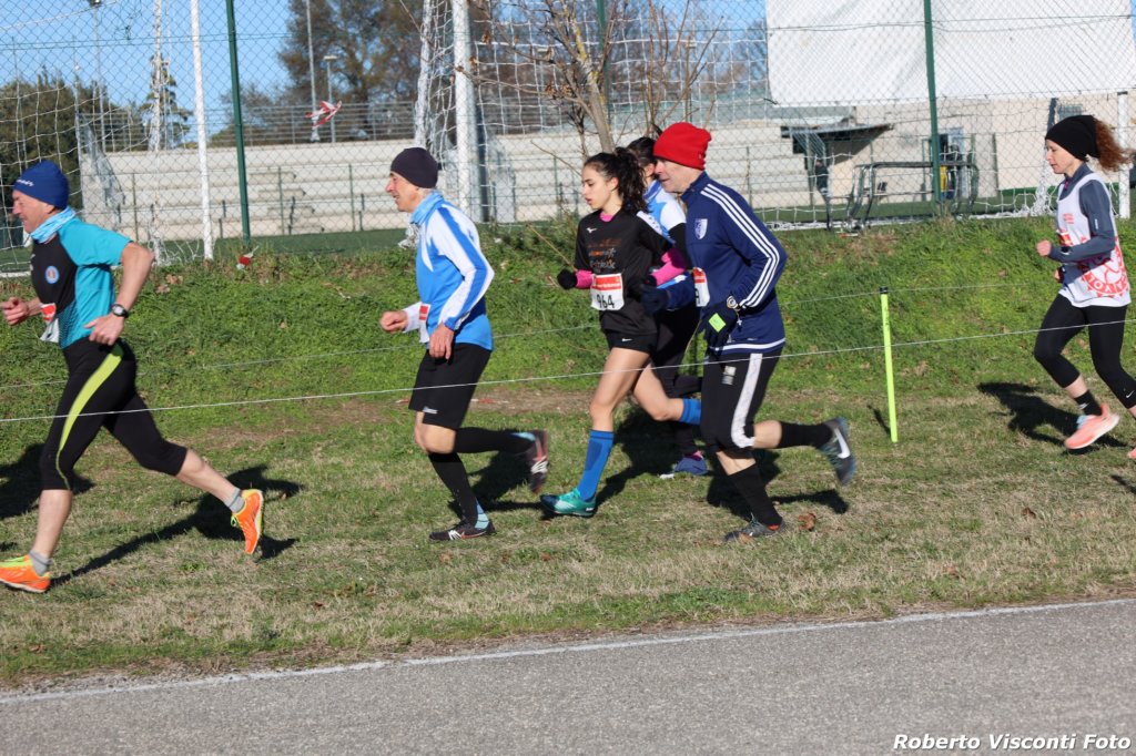 cross24_42.jpg