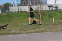 cross24_43_small.jpg
