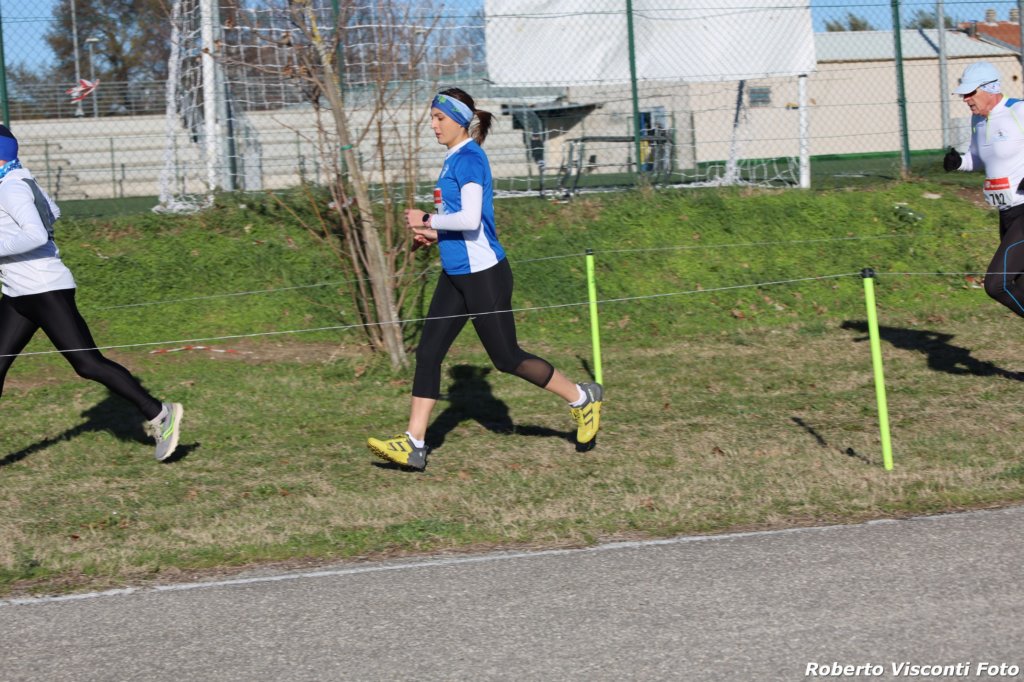 cross24_44.jpg