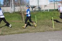 cross24_44_small.jpg