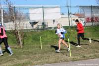 cross24_45_small.jpg