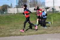 cross24_46_small.jpg