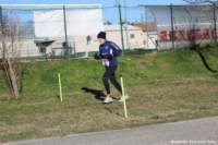 cross24_47_small.jpg