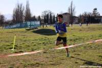 cross24_48_small.jpg