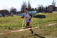 cross24_50_small.jpg