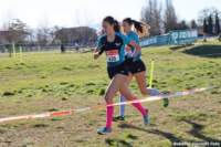 cross24_52_small.jpg