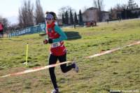 cross24_53_small.jpg