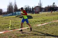 cross24_55_small.jpg