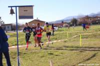 cross24_56_small.jpg