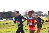 cross24_57_small.jpg