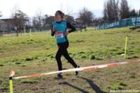 cross24_59_small.jpg