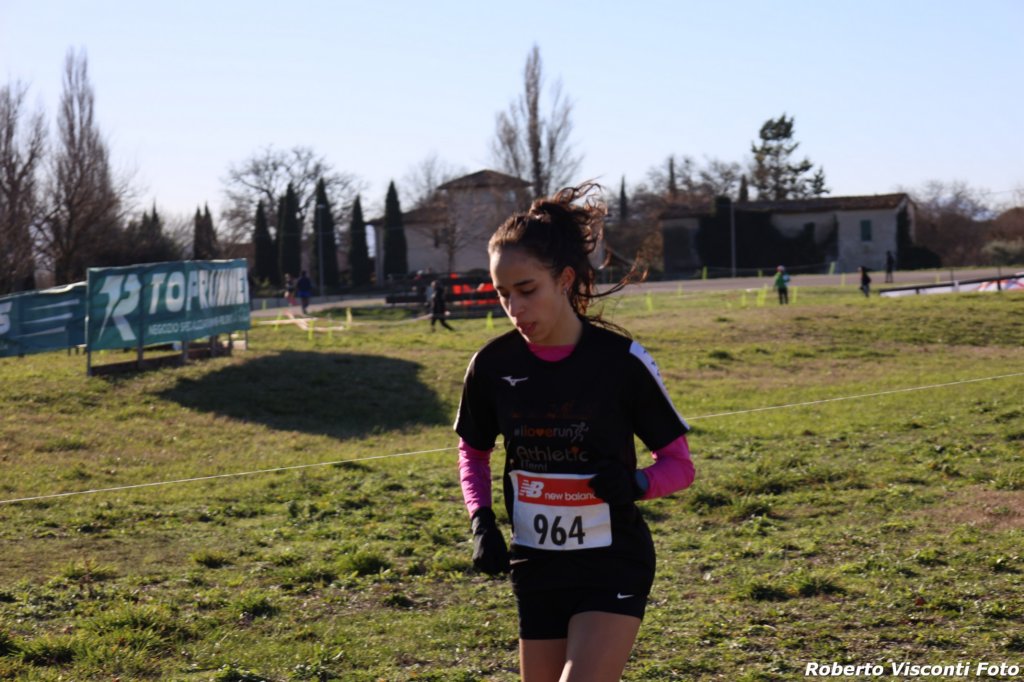 cross24_60.jpg