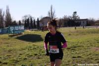 cross24_60_small.jpg