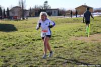 cross24_62_small.jpg