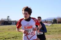 cross24_66_small.jpg